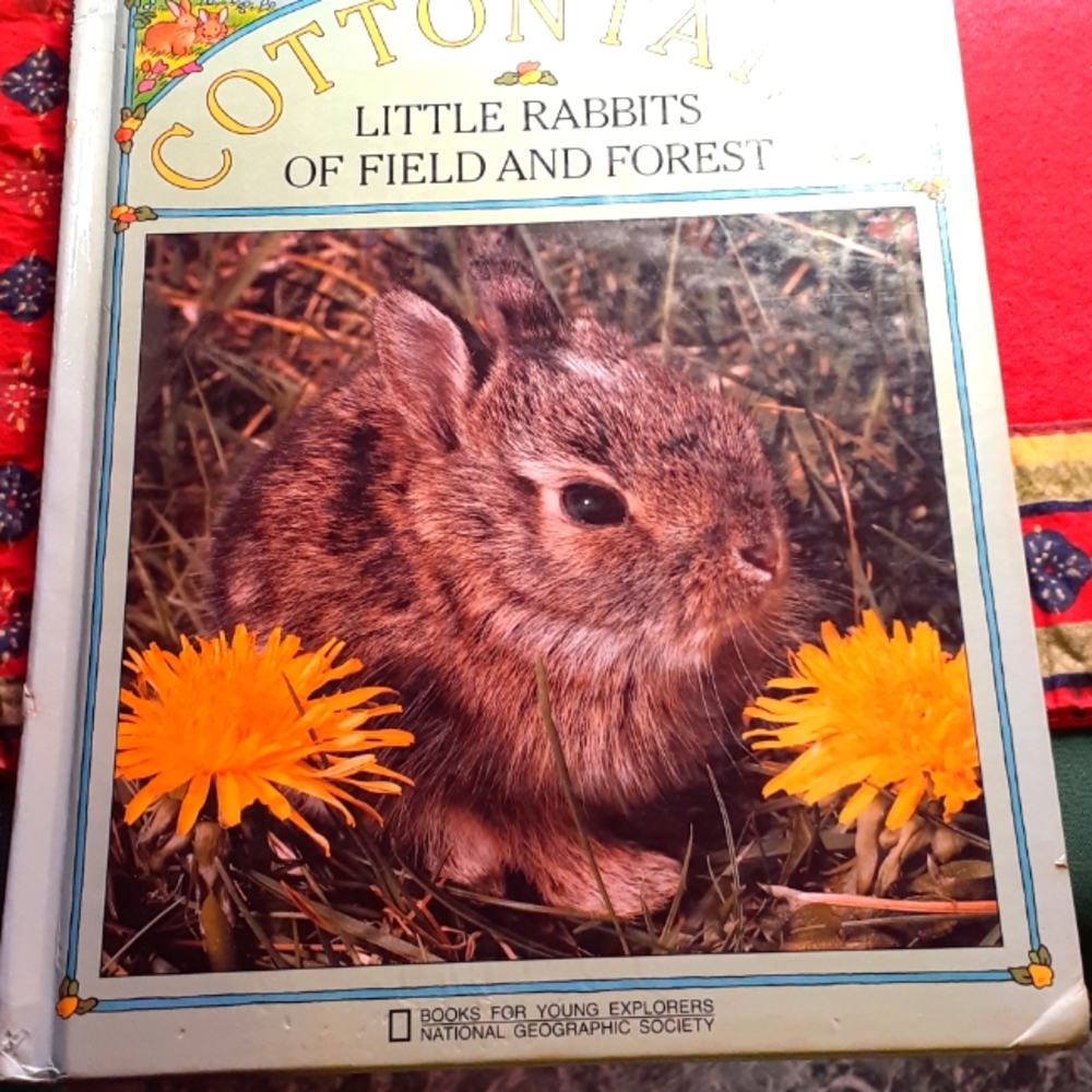 Child's Rabbit Book - Picture 2 of 7